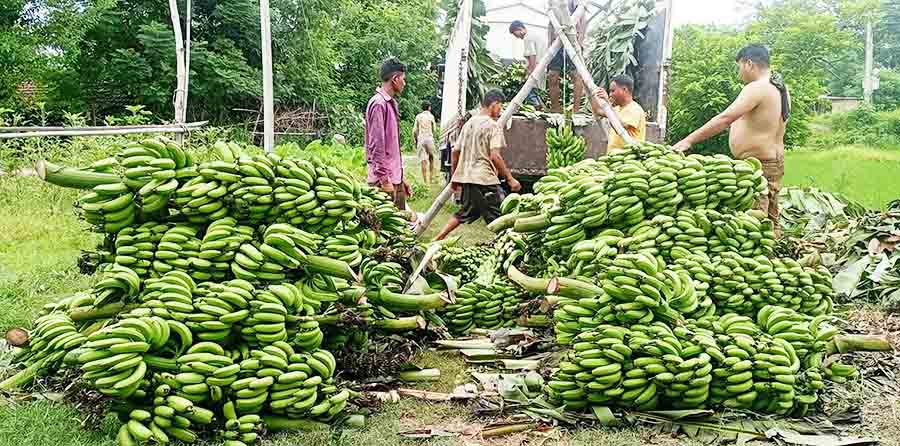 ‘केराखेती हब’ बन्दै टीकापुर, खेती विस्तारका लागि ६० लाख विनियोजन