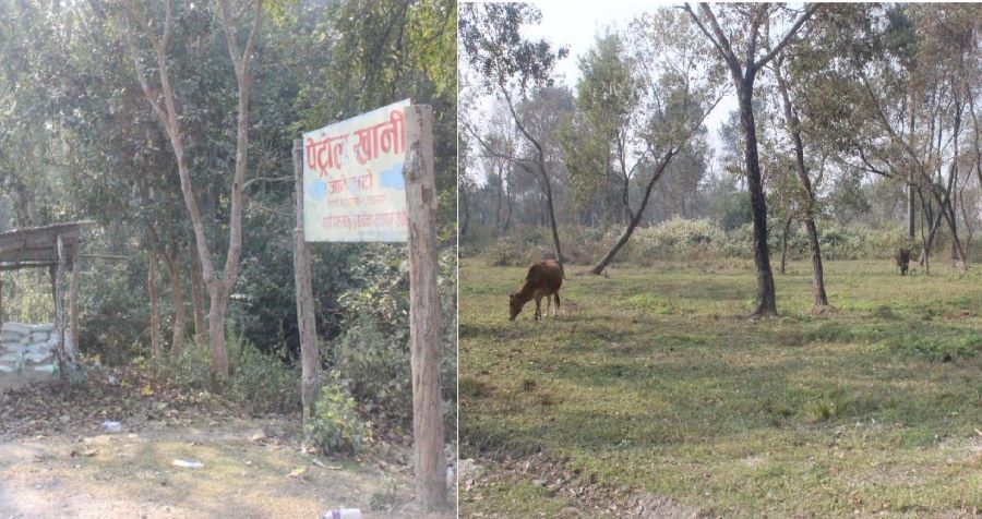 मोरङको पेट्रोल खानी गौचरणमा परिणत, कहिले हुन्छ उत्खनन ?