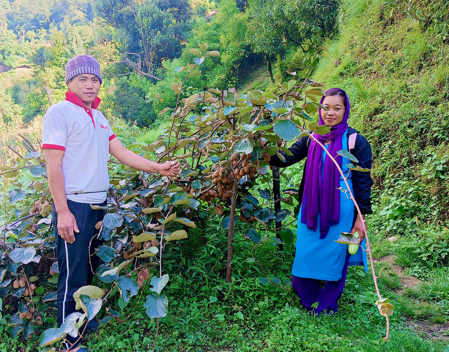 उत्पादन बढाउन कृषकलाई भत्ता, जति धेरै क्षेत्रफलमा कृषि गर्छन्, उति धेरै भत्ता