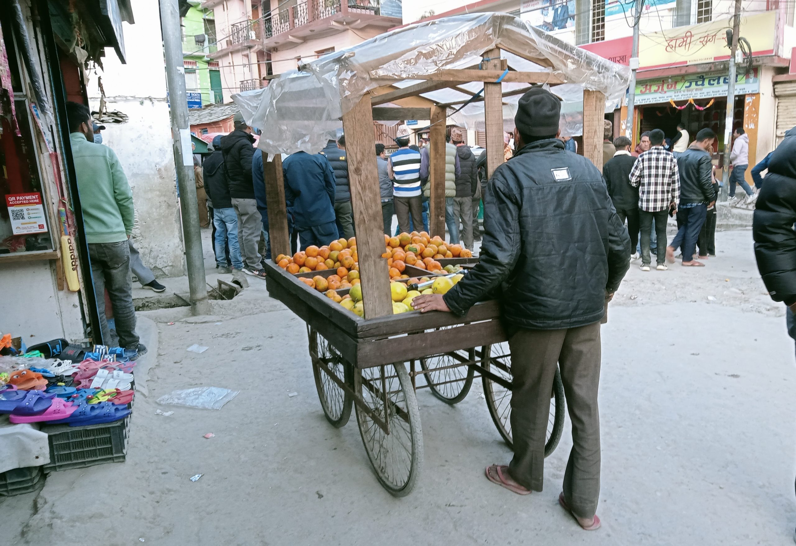 पसल–पसलमा बुङ्गली सुन्तला, पालिकाको प्राथमिकतामा कृषि