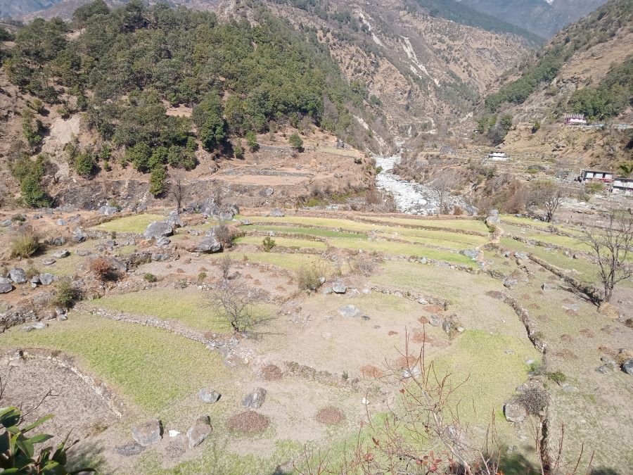 हिमपात नहुँदा भोकमरीको जोखिममा सुर्मा गाउँ, ८० प्रतिशत बाली सुक्ने अनुमान