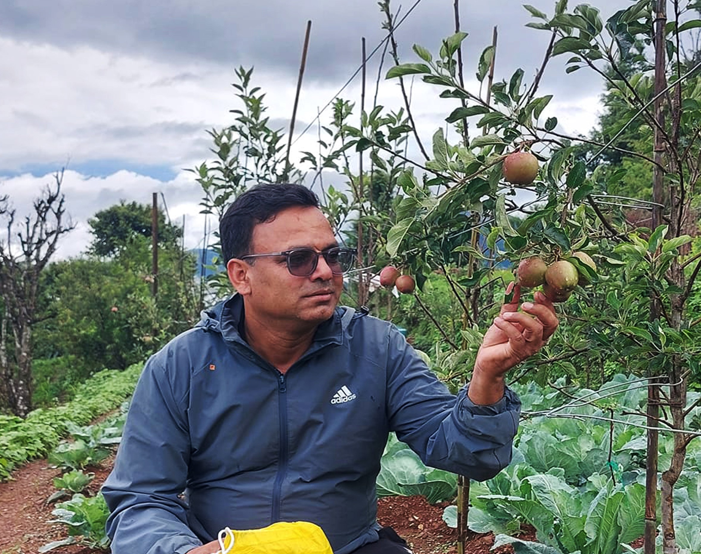 अर्नाकोटमा फल्यो एकै वर्षमा इटिलियन गाला फुजी स्याउ