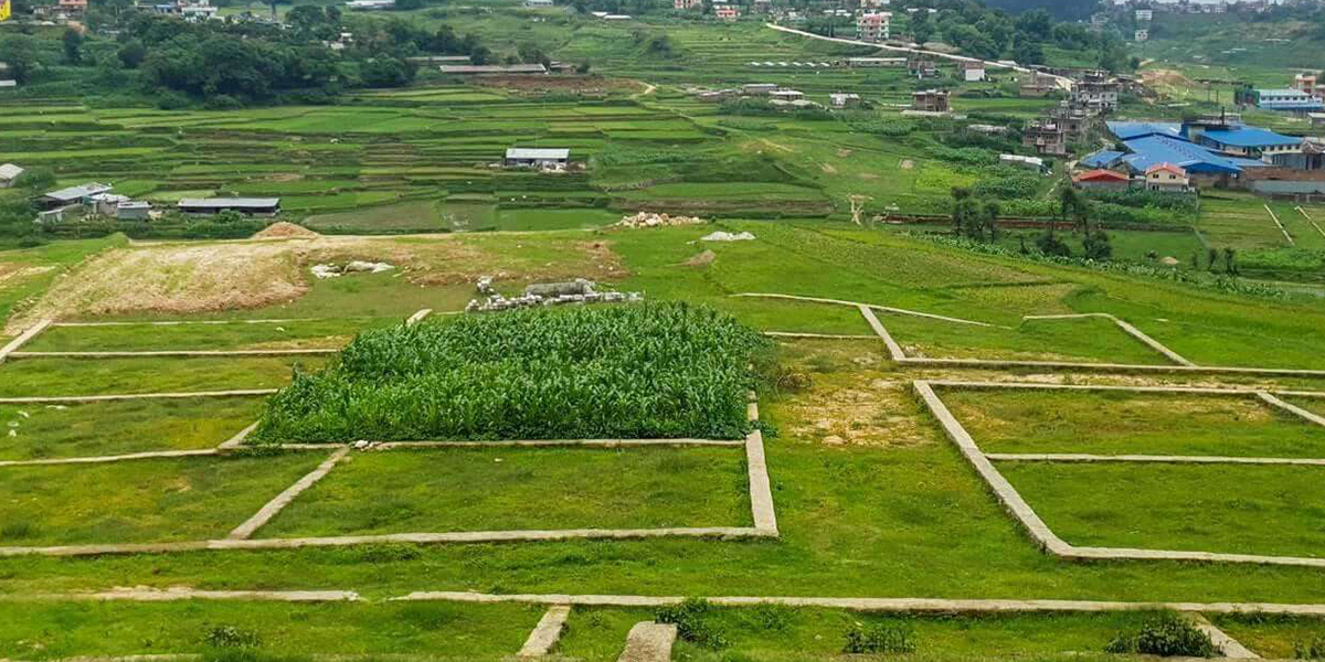 प्रहरी चौकीको भवन निर्माणका लागि साढे ३५ लाख मूल्यबराबरको जग्गा दान