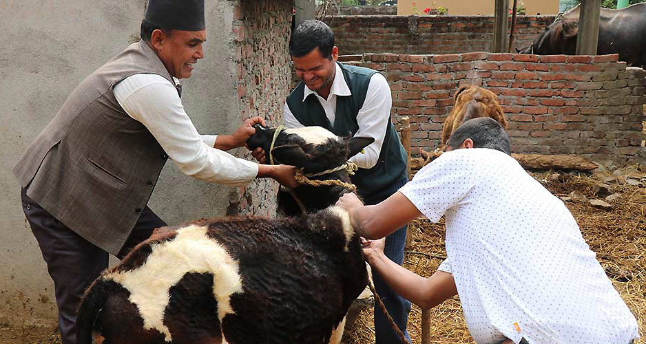 बागलुङको एक विद्यालयमा पशु विज्ञान अध्यापनमा विद्यार्थीहरूकाे आकर्षण