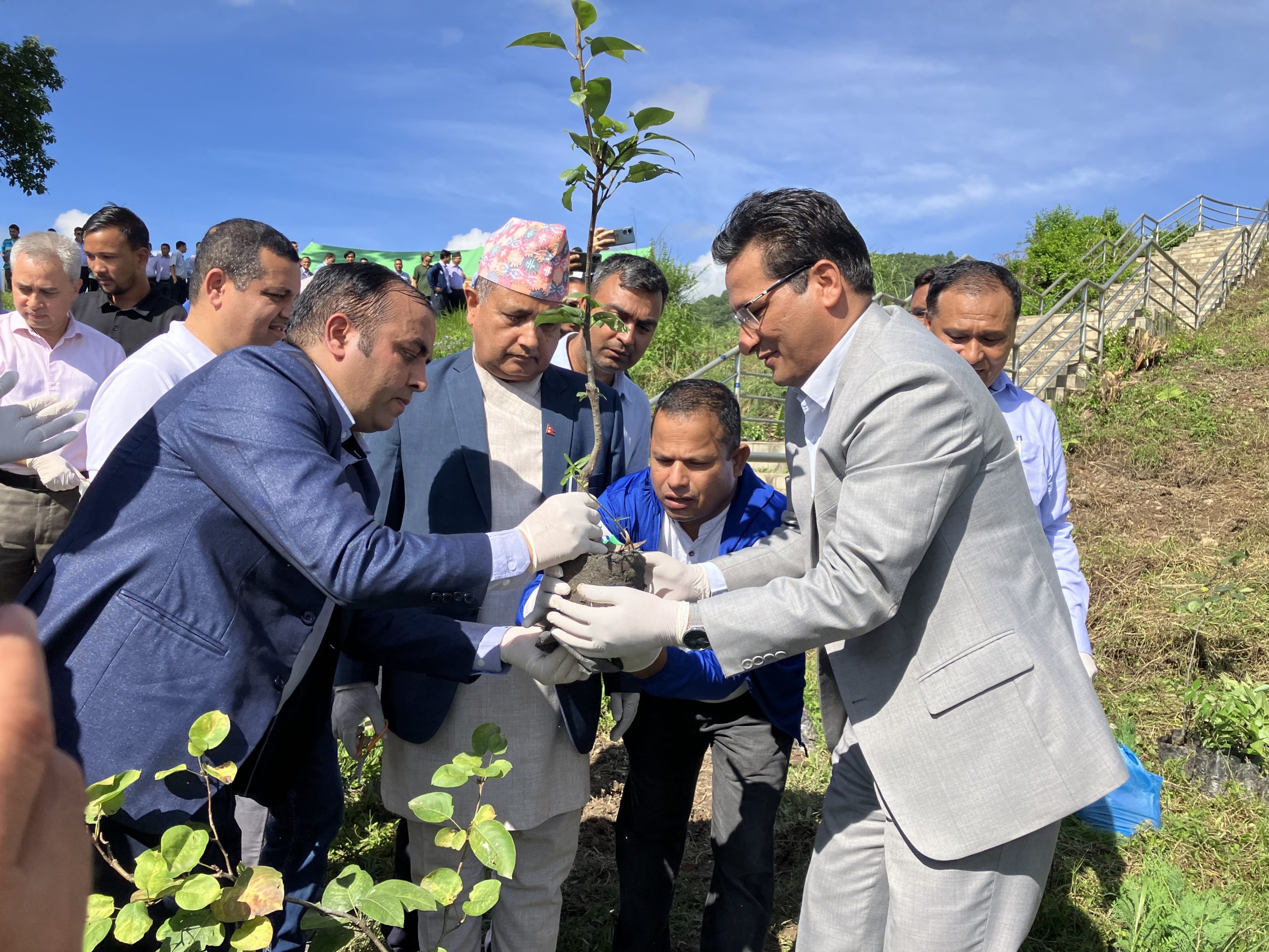 विद्युत प्राधिकरणले ३८औं वार्षिकोत्सवको अवसरमा देशभरका कार्यालयद्वारा वृक्षरोपण