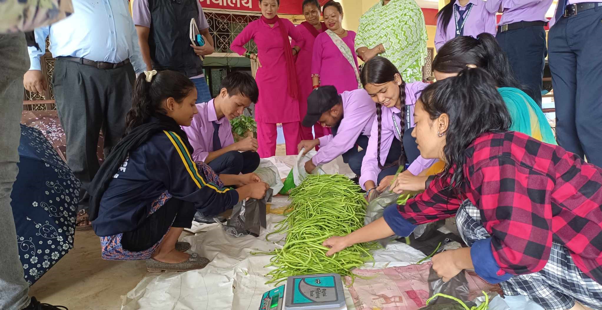 गुरुजजुर माविका विद्यार्थी आफैं बेच्छन् तरकारी