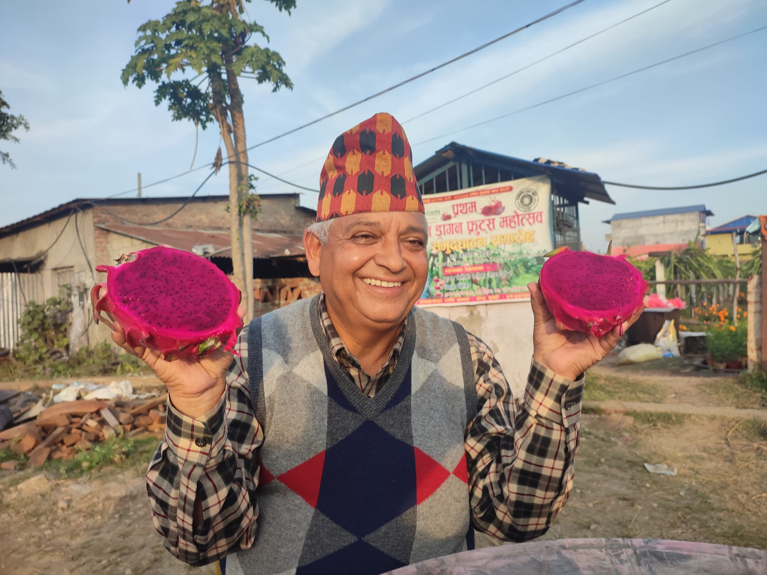 सुवेदीको फार्ममा फल्यो एक किलो बढीको ड्रागन