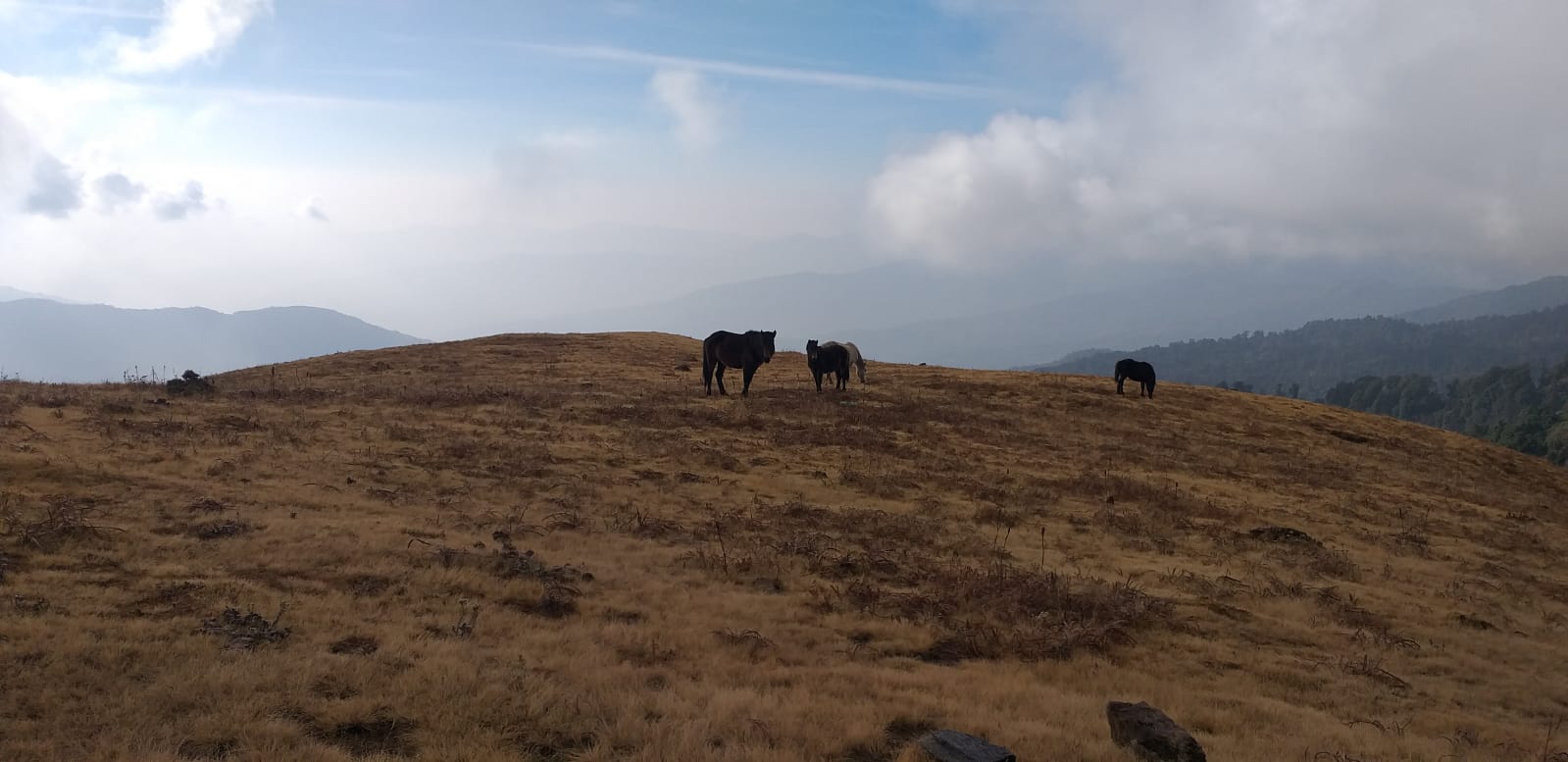 भोजपुरको मुन्दुम पदमार्गः तीन महिनामा पुगे एक लाख पर्यटक