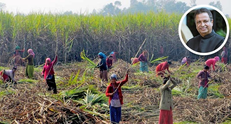 चुनावका वाचा पुरा गर्दै विनोद चौधरीः नवलपरासीका उखु किसानले पाए अनुदान बापतको रकम