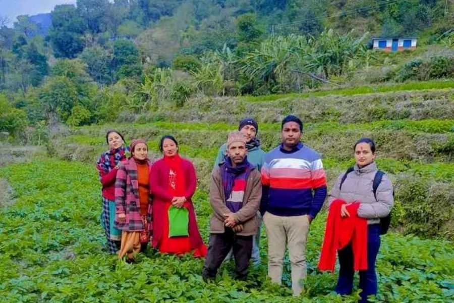 म्याग्दीका आमा समूहद्वारा सामूहिक आलुखेती