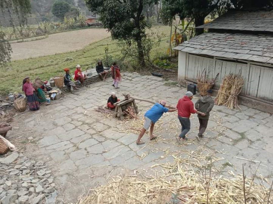 प्रविधिको विकाससँगै परम्परागत ‘कोल’ लोप हुँदै