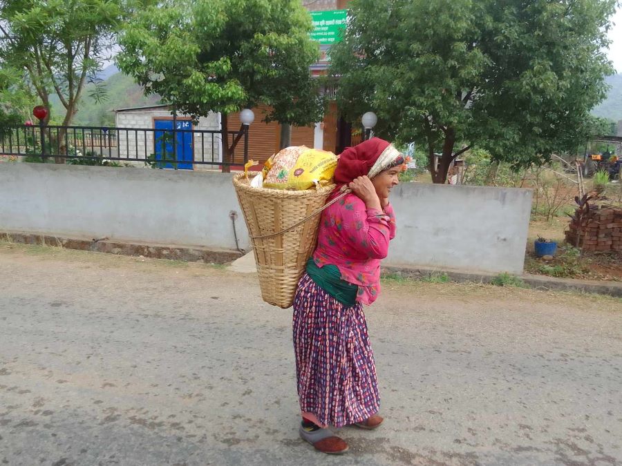 ३२ वर्षदेखि तरकारी बेच्दै लक्ष्मी, भन्छन्-‘यहि पेसाबाट दुई तलाको घर, नौ रोपनी जग्गा जोडेको छु’