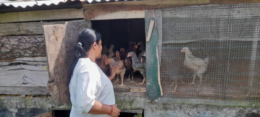 कृषि फार्मबाट वार्षिक १२ लाख कमाउँछिन पर्वतकी देवीकुमारी